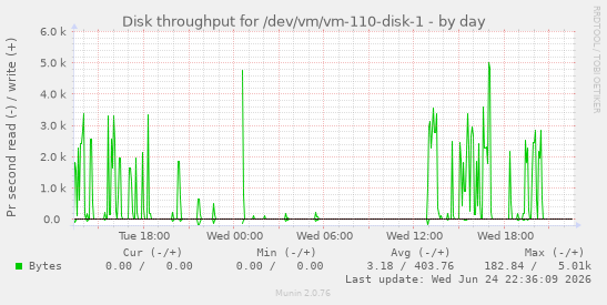 Disk throughput for /dev/vm/vm-110-disk-1